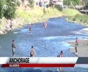 Alaska has some of the most beautiful and remote fishing spots in the world, but one of the most popular is in downtown Anchorage. Residents, and tourists, line up along Ship Creek to catch a variety of salmon species all summer long.