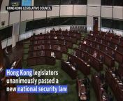 Hong Kong&#39;s legislature unanimously passes a new national security law with tough penalties, including life imprisonment for treason and insurrection.