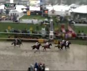 the 2016 Preakness Stakes, defeating Derby winner Nyquist (who ran third).