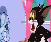 The Tom And Jerry Show Episode 2 _ Tom And Jerry Cartoon Network Movies 2016 from cartoon network nederland mythes