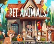 Pet Animal Names In English_ Learn Pet Animals_ Kids Learning_ @BUBBLEFUNFLIX&#60;br/&#62;&#60;br/&#62;Dive into the delightful world of pet animals with our latest video made just for kids!From fluffy kittens to playful puppies, cute bunnies, chirpy birds, and more, this video is packed with fun and learning!&#60;br/&#62;Get ready to meet your favorite pet animals and learn all about them.&#60;br/&#62; Whether you&#39;re a fan of cuddly cats, loyal dogs, or colorful fish, there&#39;s something for everyone in this pet-tastic journey.&#60;br/&#62;With engaging visuals, lively music, and interactive segments, this video will keep young viewers entertained while they learn about different pet animal names.&#60;br/&#62;Subscribe nowmy Channel BUBBLEFUNFLIX for more educational and entertaining content featuring your favorite pet animals. Don&#39;t forget to hit the like button and share with your friends for even more pet-tastic fun! &#60;br/&#62;From your searches:&#60;br/&#62;#petanimals &#60;br/&#62;#petanimalsname &#60;br/&#62;#petanimalsinenglish&#60;br/&#62;#pets &#60;br/&#62;#animals &#60;br/&#62;#domesticanimals &#60;br/&#62;#animalsforkids&#60;br/&#62;#learnanimals &#60;br/&#62;#earlylearning &#60;br/&#62;#earlylearningseries&#60;br/&#62;#petanimalsforkids&#60;br/&#62;#petanimalsdrawing&#60;br/&#62;#petanimalsname10&#60;br/&#62;#petanimalnamefive&#60;br/&#62;#petanimalspictures&#60;br/&#62;#5petanimalnames&#60;br/&#62;#farmanimalsname&#60;br/&#62;#allpetanimals&#60;br/&#62;#petanimalsnameforpreschoolers&#60;br/&#62;#kids &#60;br/&#62;#kidslearning &#60;br/&#62;#kidslearn &#60;br/&#62;#kidslearningvideoes &#60;br/&#62;#preschoolers &#60;br/&#62;#toddlers &#60;br/&#62;#videosforbabies &#60;br/&#62;#videosfortoddlers &#60;br/&#62;#learning &#60;br/&#62;#learningenglish &#60;br/&#62;#educationalvideo &#60;br/&#62;#education &#60;br/&#62;#kidseducationalvideospreschool &#60;br/&#62;#kidsvideo &#60;br/&#62;#petanimalsnamesinenglishforkids,preschoolersandtoddlers&#60;br/&#62;&#60;br/&#62;&#60;br/&#62;&#60;br/&#62; @BUBBLEFUNFLIX