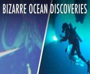 25 Bizarre Discoveries In The Deep Sea | Unveiled XL from jab sea to ha 15 bose boys miya dar nanak sobi and