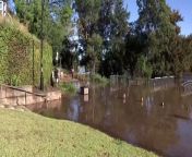 After a night of torrential rain rivers across NSW continue to rise as residents assess damages. The deluge triggered more than 50 flood watches and warnings across southern Queensland and NSW’s south coast. Sean Tarek Goodwin has the latest from Windsor in Northwest Sydney.
