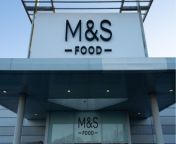 Marks & Spencer issues recall on M&S Plant Kitchen Mushroom Pie over possible allergy risk from rat a tat plant