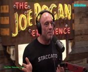 Episode 2133 Brendan O&#39;Neill- The Joe Rogan Experience Video - Episode latest update&#60;br/&#62;