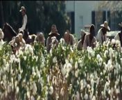 12 Years a Slave Bande-annonce (FR) from 12 a slave