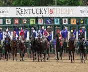 150th Kentucky Derby Features New Paddock at Churchill Downs from flaqo and churchill show