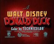 Chip and Dale Disney Cartoon Full Episode No 1 from walt disney jonas