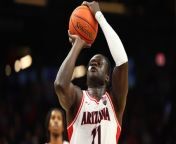 Indiana Bolsters Team with Top Players from Transfer Portal from live tv player free