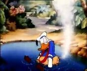 Mickey Mouse Donald Duck DingoHawaiian Holiday from a reir con mickey los cazadores