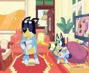 Bluey - 'Surprise! Episode from surprise