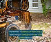 Edmonton&#39;s professional arborists weigh in on the nuanced pros and cons of stump grinding. They highlight its effectiveness in swift stump removal, aesthetic improvements, and environmental friendliness, while addressing concerns like cost implications and landscape disruption for informed decision-making.&#60;br/&#62;https://www.albertaarborists.com/&#60;br/&#62;