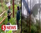 A training aircraft crashed in the Besout 2 Tambahan plantation area in Sungkai at 9.55am on Saturday (May 4).&#60;br/&#62;&#60;br/&#62;Perak police chief Comm Datuk Seri Mohd Yusri Hassan Basri said it was a training aircraft and the passengers survived.&#60;br/&#62;&#60;br/&#62;Read more at https://shorturl.at/dCJPZ&#60;br/&#62;&#60;br/&#62;WATCH MORE: https://thestartv.com/c/news&#60;br/&#62;SUBSCRIBE: https://cutt.ly/TheStar&#60;br/&#62;LIKE: https://fb.com/TheStarOnline