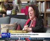 Former French Ambassador to China Sylvie Bermann spoke to CGTN Europe on China-France relations.