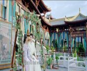 Walk with You (2024) ep 16 chinese drama eng sub