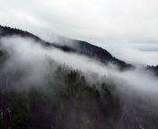 A mystical veil descends upon the foggy mountain, shrouding its peaks in ethereal beauty. &#60;br/&#62;&#60;br/&#62;️️ #MistyMountain #Nature&#39;sMystery&#92;