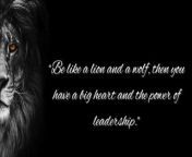 Lion Quotes provide a thought-provoking perspective on life. Some people believe that lions are some of the wisest and most majestic creatures on Earth, and quotes inspired by them can provide us with much-needed guidance and wisdom in our lives.&#60;br/&#62;&#60;br/&#62;&#60;br/&#62;We collect all these Lion Quotes from a variety of sources, including books, articles, and interviews. We believe that there is a quote out there for everyone, and we hope that our website can help you find the perfect one for you.