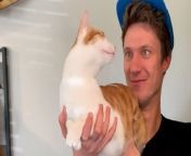 Cat loves only one person, his dad — watch what happens when Mom dresses up like him!