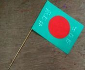 How to make National flag in Bangladesh from bangladeshi shabana