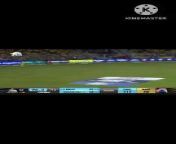 What a Catch #trending #ipl2024 #cricket #dhoni