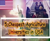 Agriculture Study USA I Cheapest Agriculture Universities in USA - Infomity