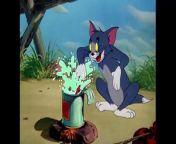 Tom and Jerry Best of Little Quacker Classic Cartoon Compilation from hp video angela movie actor sohel slogan ra toy by
