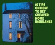 Use our money-saving tips to find the right policy and cut the cost of your premiums.