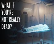 What If You Wake Up After You're Pronounced Dead? | Unveiled from ana definition biology