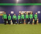 Over 80 Northern Ireland dogs and their owners are competing in this year’s Crufts, the most prestigious canine show of its kind in the world.&#60;br/&#62;&#60;br/&#62;Set to be the biggest ever show in its 133-year history, the event at Birmingham’s National Exhibition Centre arena will welcome tens of thousands of people from throughout the world over each of the four days. &#60;br/&#62;&#60;br/&#62;Officially opened yesterday (Thursday), the dog show has over 27,000 entries competing in the agility and obedience competitions as well as the show dogs organised by breed. However only one can be named top dog on Sunday in the ‘Best in Show’ category which is being judged by Belfast lady Ann Ingram.&#60;br/&#62;&#60;br/&#62;Eleven handlers and dogs are competing in this year’s Northern Ireland obedience dog team which will be welcomed on stage today (Friday) and consists of four border collies, two golden retrievers, a cockerpoo, shepherd cross, a Mudi, Lagotto and Maltese cross — all hoping for a rosette.&#60;br/&#62;&#60;br/&#62;Chairman of the Kennel Club Obedience Liaison Council for the UK, Michael McCartney, from Lisburn, has also been the manager of the Northern Ireland team for the last 35 years and is delighted to be at the contest again this year. He also judges in the obedience and agility categories.&#60;br/&#62;&#60;br/&#62;Michael (69) is joined by his wife Kate, also a obedience and agility judge and soon to be the first-ever female UK Crufts chief obedience steward.