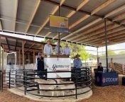The top-priced ram, Burrawang 230182, sells for &#36;20,000 at the Ootha stud&#39;s on-property sale.