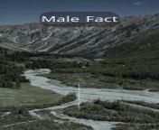 Delve into the intriguing world of male facts in this captivating video. From debunking stereotypes to uncovering lesser-known truths, we embark on a journey to understand men beyond the conventional narratives. Explore fascinating insights into male psychology, physiology, and societal roles. Through engaging anecdotes and research-backed information, gain a deeper appreciation for the multifaceted nature of masculinity. Join us as we unravel the mysteries and celebrate the diversity of the male experience.