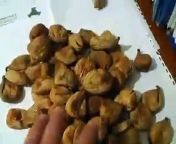 Welcome to SAMRIOGLU www.samrioglu.com&#60;br/&#62;&#60;br/&#62;HAZELNUTS, DRIED FRUITS &amp; CHESTNUTS EXPORTTOTHEWHOLE WORLD &#60;br/&#62;&#60;br/&#62;Company was founded by Sadettin Samrilu in 1940, is one of old manufacturer and trader companies that specializes in Hazelnuts. SAMRIOGLU Family has been manufacturing and exporting Akcakoca quality Natural Hazelnuts for three generation, had the honor to be chosen supplier of world&#39;s giant Chocolate industries; Nestlé SA and Kraft Foods, Inc. (Previous Jacob Suchard AG) in 1990s.&#60;br/&#62;SAMRIO%u011ELU is dynamic company run by professional new generation, very active in foreign trade, supply customers all around the world also withHazelnuts ( Raw, Processed and Organic ), Chestnuts , Dried Fruits and other Nuts (both Organic and Conventional).We are very specialized also in these product categories.&#60;br/&#62;Our innovative approach to business, strong and old cooperation with our serious manufacturer partners who all are leaders in their fields and presenting unbeatable advantages to Global Buyers have enabled SAMRIOGLU to become highly respectedsupplier namein Hazelnuts and Dried Fruits sector. We are quality-oriented company, apply the rules of HACCP and ISO 9001:2000 for the best quality products in accordance with the InternationalFood Standards. Not only guaranteed top product quality, we offeryou also multi-level reliability, friendly business relations, accurate service and timely delivery. &#60;br/&#62;Key Export Products:Natural Raw Hazelnuts, OrganicHazelnuts, Roasted &amp; Blanched Hazelnuts, Sultanas, Dried Apricots, Dried Figs, Fresh Chestnuts, Frozen Peeled Chestnuts, Pistachios, Chickpeas, Pine Nuts, Poppy Seeds,Other Nuts (Industrial, Conventional and Organic)