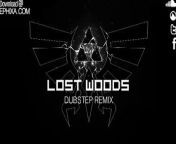 A remix of lost woods put together to compliment the release of song of storms