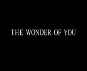 The Wonder Of You focuses on Elvis&#39; unmistakable voice with lush new orchestral accompaniment. Recorded at Abbey Road Studios in London with acclaimed producers Don Reedman and Nick Patrick, the album features Elvis&#39; most dramatic original performances augmented with lush new arrangements by The Royal Philharmonic Orchestra.