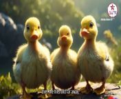 Five Little DucksNursery Rhymes - Baby Songs - Kids Songs from Star Adsense Live TV&#60;br/&#62;&#60;br/&#62;#nurseryrhymes #babysongs #ducksong&#60;br/&#62;Five little ducks went out one day&#60;br/&#62;#littleducks #ducksong #nurseryrhymes #babysongs&#60;br/&#62;&#60;br/&#62;__________________________________________________________________&#60;br/&#62;#StarGoLocal #stargolocal#star #staradsense #staradsenselivetv #livetv #video #addingvale&#60;br/&#62;STARADSENSE / STARADSENSE LIVE TV - Exclusive Video Copyright&#60;br/&#62;STARADSENSE / STARADSENSE LIVE TV is the sole and exclusive video license owner of the (Staradsense Original video production) video, video clips, and any part of the video. copyrights and other proprietary rights contained therein. Users can not use or illegally upload this video / any part of the video directly or indirectly on any OTHER VIDEO-SHARING PLATFORM without permission of STARADSENSE / STAR ADSENSE LIVE TV. Users can watch and share this video, video clips, and any part of this video through www.staradsenselivetv.com.All video copyrights are reserved by STARADSENSE and STARADSENSE LIVE TV.