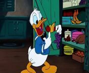 Donald Duck Trick or Treat Disney toon from spoegbob boona toon