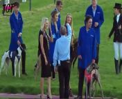 Greyhound dog racing - Track race 480m 2024