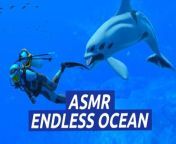 Endless Ocean Luminous — Sounds of the Sea — Nintendo Switch from dramatic boom sound