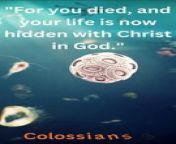 Bible Famous Quote and Bible Verse (New Testament -COLOSSIANS 3:3)