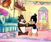 Baby Looney Tunes - School Daze Mary Had a Baby Duck Things That Go Bugs in The Night (in 169 and 1080p) from bug bedeutung