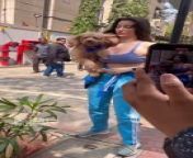Georgia Andriani was seen outside a gym in Bandra with her puppy...#georgiaandriani #instantbollywood #pb from hindi movie toofa seen uho lalita