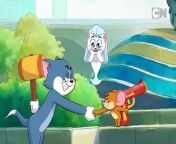 Compilation | Tom & Jerry | Cartoon Network from cn abossy