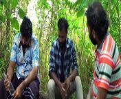Thurathi Malayile Thiruthukal 2024 Malayalam full | A to-do from malayalam blue film