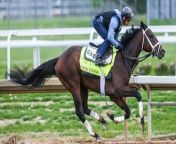 Kentucky Derby 150th Anniversary Boosts Churchill Downs from zen like state