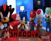 Sonic Meets Shadow The Hedgehog