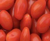 8 Tips for Growing Cherry Tomato Plants That Will Thrive All Season from el cherry