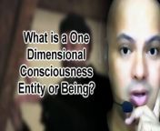 Unheard Truths:What is a One Dimensional Consciousness Entity or Being?