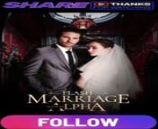 Flash Marriage With My Alpha Part 1 from prem com flash hp