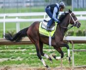 Kentucky Derby: How Field Size Influences Race Dynamics from hot nokia asia games size