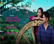 तोर चाहत _ Tor Chahat _ Cg Song _ Audio Song _ Rishiraj _ Shweta _ Abhishek _ Deepali _Romantic Song from tor moyuri